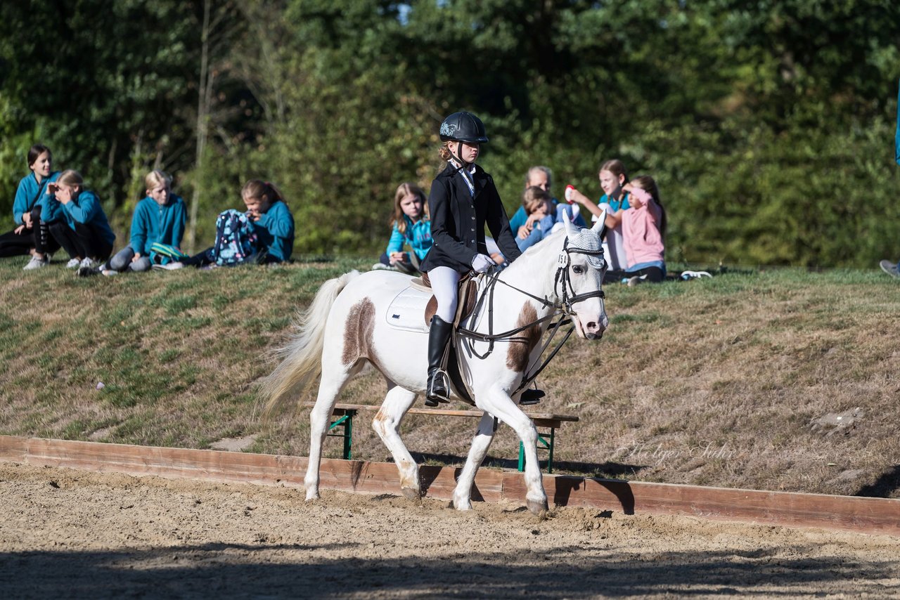 Bild 43 - Pony Akademie Turnier